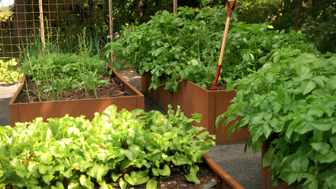 Modulopbyggede - Rektangulært højbede Råt stål