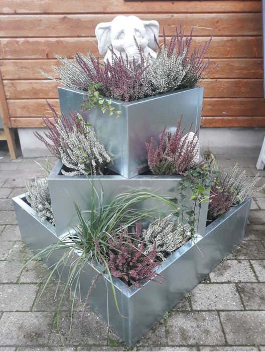 Blomsteropsats galvaniseret stål