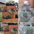 Blomsteropsats