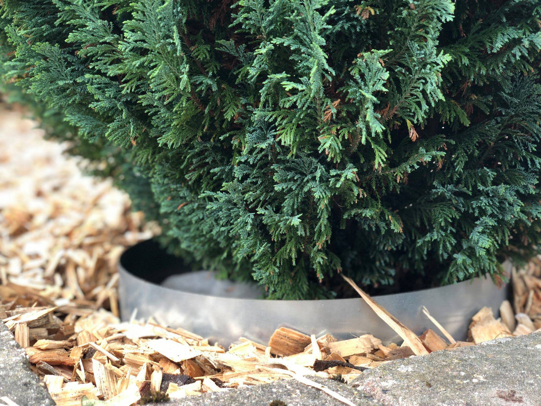 Græskanter omkring træer